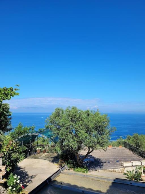 Sun & Relax, Relaxing Location With Seaview Villa Massa Lubrense Exterior photo